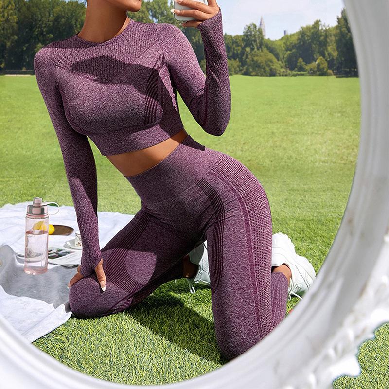 JYL Multi Color Autumn Winter Long Sleeve Tight Running Yoga Set