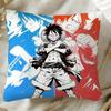 Pillow Covers Decorative Cushions for Sofas Anime OOnes PPieces Interior Decoration Home Decor Items Personalized Gifts Cover