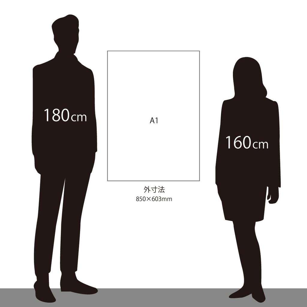 Large Frame OA Frame A1 Black Line Frame (5017)