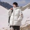 Cross-Border E-commerce Student White Duck Down Jacket: Men's Winter Short Hooded, Windproof, and Warm Thickened for Couples