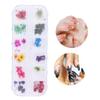 12 Farben Natürliche Trockenblumen für Acryl UV Gel Nail Art Tipps Design Etui DIY Deko C