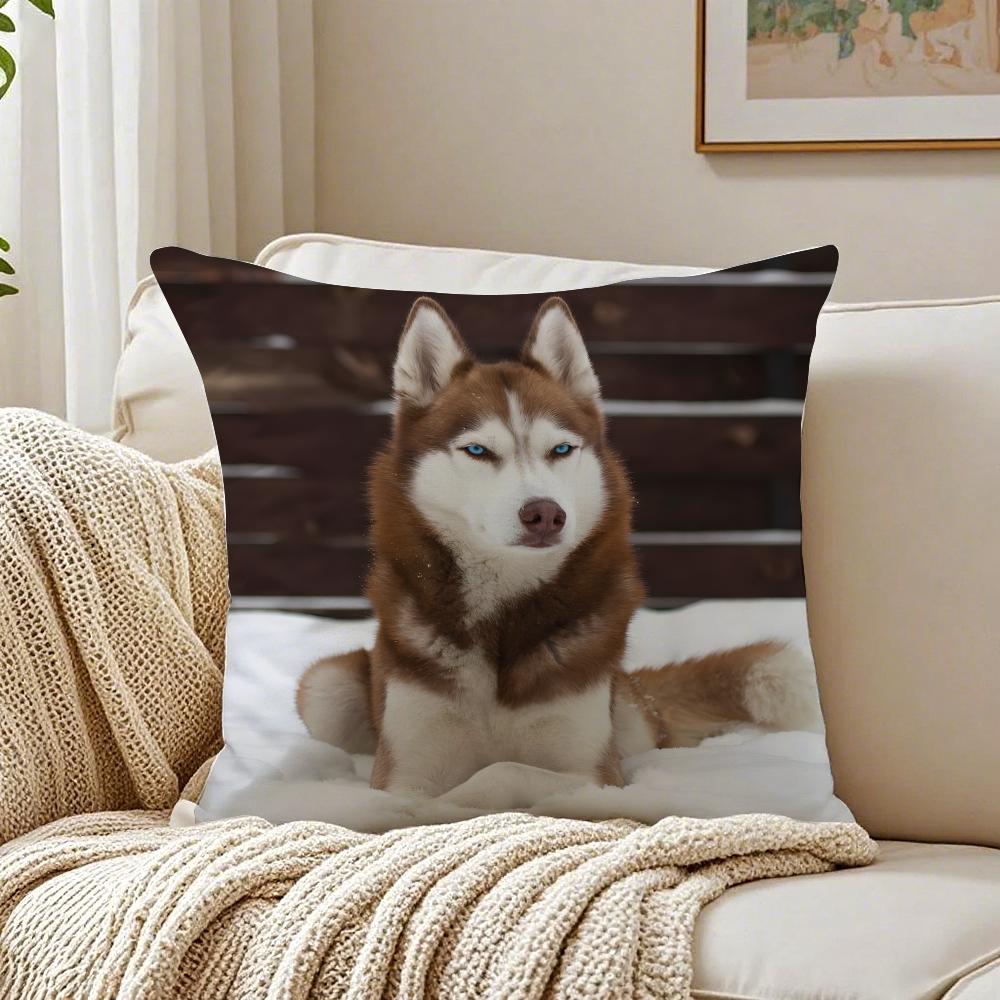 NICE CUTE Pug Dog Cushion Cover Pillowcase Antidustmite Living Room Sofa Decor Cushion Room