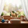 Custom Pet Photo Night Light Personalized Pet Growth Memorial Plaque Frame Customizable Pet Picture Ornament Record Lift