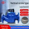 WS Vertical Screw Wing Large Diameter Mechanical Water Meter with Flanged Horizontal Copper Core, Dry Type, Cast Iron Blue Shell