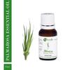 Naturalis Essence of Nature Palmarosa Essential Oil 100% Pure Natural & Undiluted Therapeutic Grade for Dry Skin Care and Aromatherapy - 15ml
