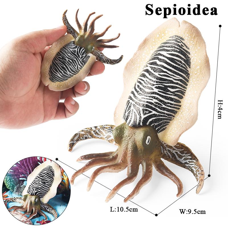 Oenux Marine Molluscs Model Simulation Squid Octopus Growth Cycle Action Figure Sealife Animals Education Collection Kids Toy