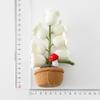 Handmade Cross Border Desktop Bell Orchid Night Lights Weaving Bell Orchid Yarn Small Pottery Creative Eternal Flowers Ornament