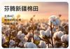 Fenteng 100% Pure Cotton Xinjiang Cotton Women's Home Clothes Set