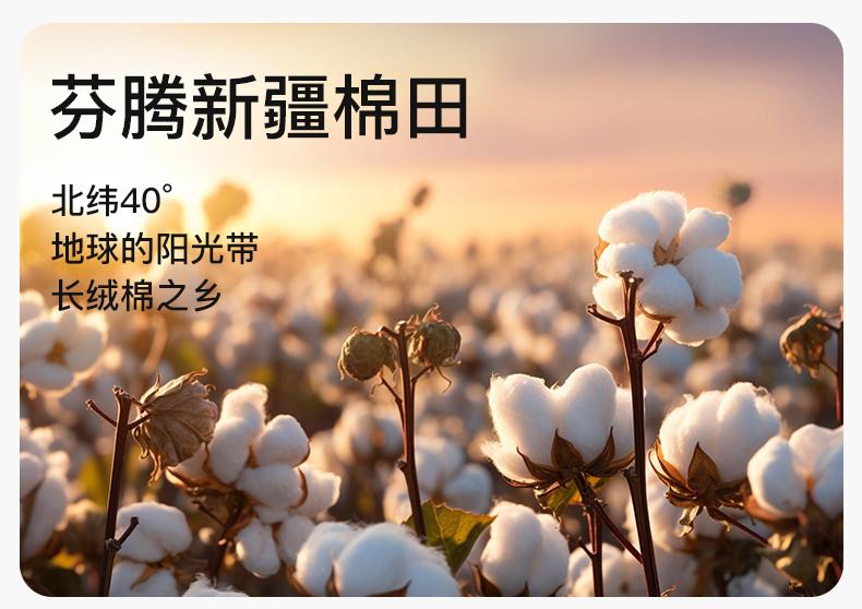 Fenteng 100% Pure Cotton Xinjiang Cotton Women's Home Clothes Set