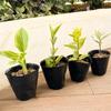 50/100PCS Plastic Black Seedling Nursery Pots Seed Grow Bags Flower Plant Breathable Container Garden Vegetable Planting Pots