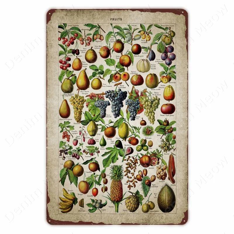 VegFruitVintageSign Vegetable Plants Retro Poster - Fruits/Cauliflower Vintage Metal Tin Sign, Garden/Kitchen Farm Wall Decor