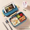 maxcook Large Capacity Plastic Divided Lunch Box