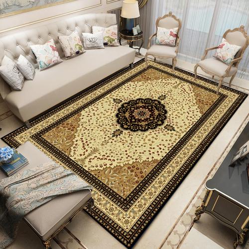 Modern Chinese Living Room Persian Carpet Simple Bedroom Decoration Area Rug Large Porch Door Mat Absorbent Non-slip Bath Mat