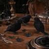 Creepy Bird Prop for Parties Realistic Crows Figurine, Lifelike Feathered Raven Statue Haunted House, Scary Mystery Atmosphere Halloween Party Props,