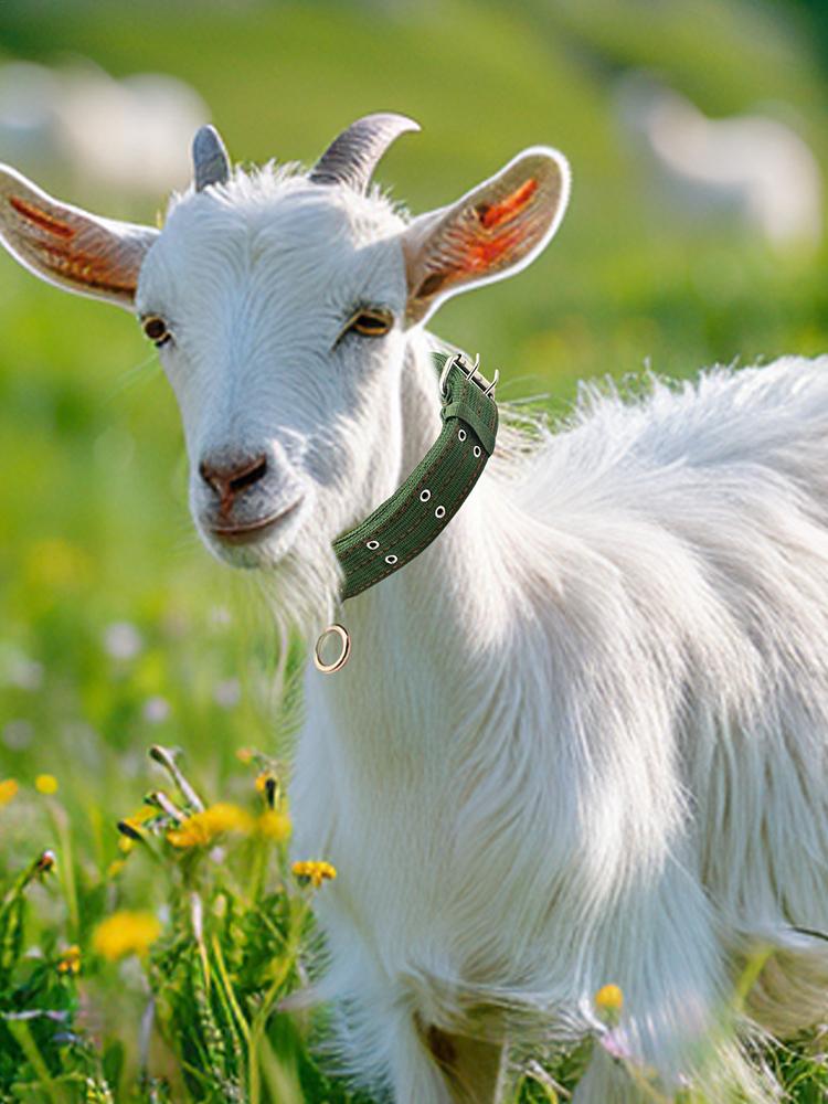 Pet Neck Collar Horse Sheep Collars Abrasion-Resistant Small Farm Animal Horse Calf Cow Traction Neck Strap For Feeding