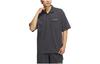 Polo Shirts Men's Solid Gray Polo Collar Moderate Straight Fit HZ7046