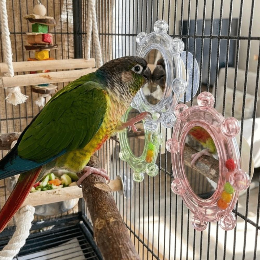 Spinning Puzzle Parrot Mirror Toy Wear-Resisting Parrot Spinning Wheels  Small Parrot