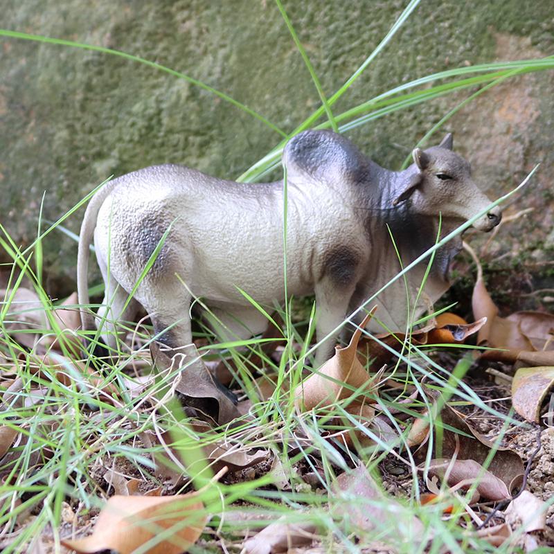 Oenux Zwierzęta Gospodarskie Walki Byków Kowboj Symulacja Drób Bydło Cielę Byk Wół Kolekcja Figurek Akcji Model Pvc Zabawka Prezent dla Dzieci