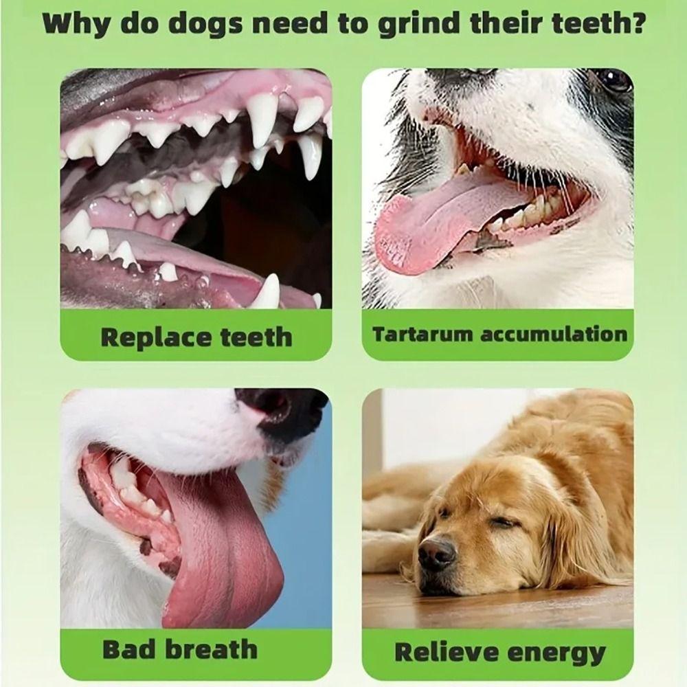 TPR Dog Chew Bone Geometric Pattern Thermoplastic Rubber Dog Bone Shape Chew Resistant Indestructible Chew Dog Chewing