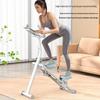 AiChen Multi-functional Home Stepper Climber
