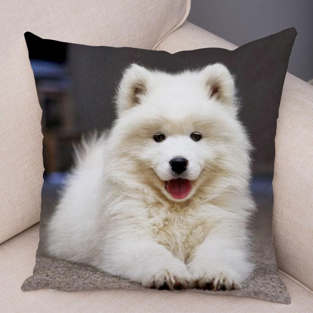50 Stil Husă de Pernă Câine Alb Drăguț Samoyed Decor Husă de Pernă Animal de Companie Iubitor Husă de Pernă Moale de Pluș pentru Canapé Cameră Copii