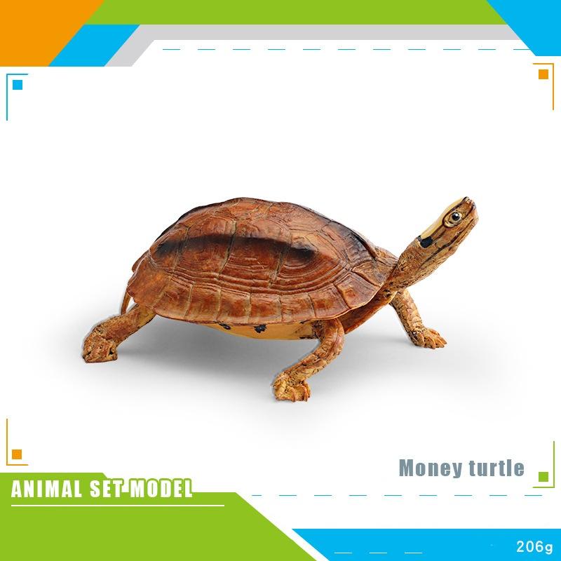 Children Simulated Turtle Model Static Solid Model Toy Animal Set Various Turtle Ornaments Radiated Tortoise Brazilian Slider