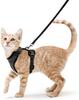 Soft Mesh Small Cat Harness and Leash for Walking Set Adjustable Breathable Vest Escape Proof for Pet Kitten Easy Control Reflective Puppy Dog Harness