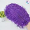 25-30Cm Colorful Ostrich Feathers, Wedding Table Flower Decoration, Wedding Decoration, Stage Performance Props Diy Jewelry