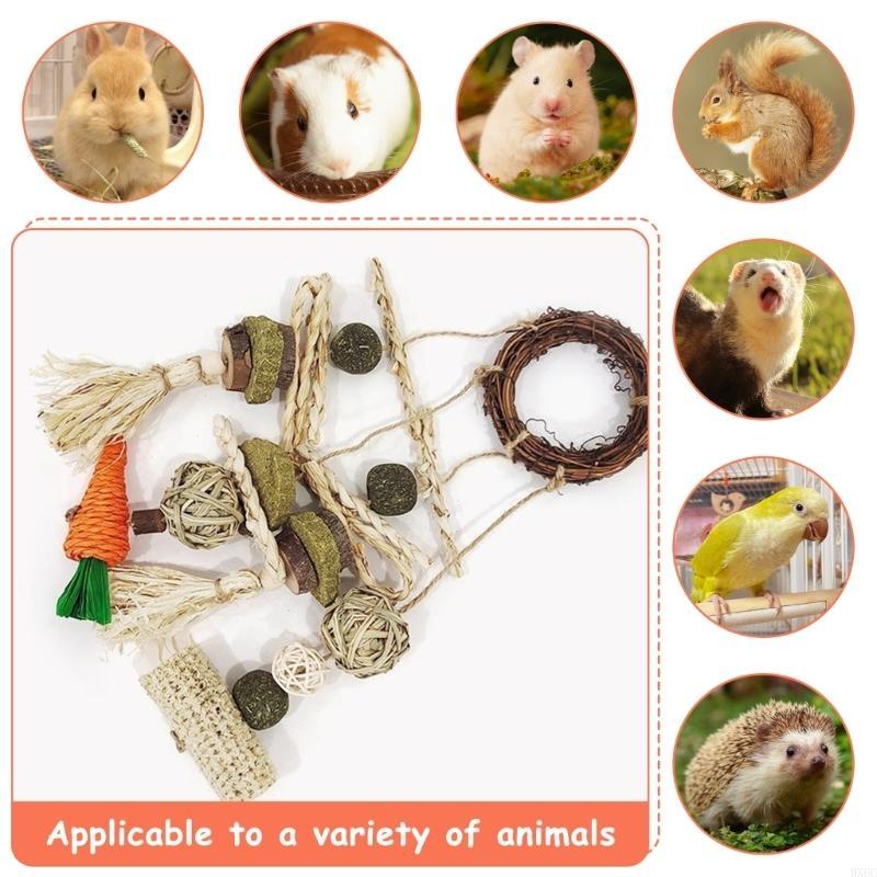 Holz-Knabberschnurspielzeug für Kaninchen Hamster Mentale Stimulation Papageien Sicher Natürliches Käfig-Mahlspielzeug Haustierbedarf HX6C