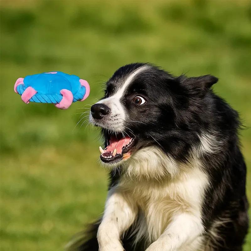 Durable Rope Fetch Dog Toy for Interactive Training and Teeth Cleaning Chew Toy Long Lasting Molar Dental Care Boredom