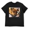Hündchen mit Spielzeug T-Shirt Anime-Shirt Sommerhemd Hemden Grafik-T-Shirt Rapper Grafik-T-Shirts Slim-Fit T-Shirts für Herren