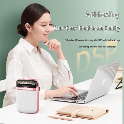 Soai S318 Portable Amplifier for Teachers CN Plug (adapter Included)