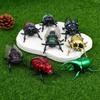 3Pcs Set Wind Up Insect Toys Fun Clockwork Prank Fidget Gadgets Easy Operation for Toddlers Preschoolers Casual Play