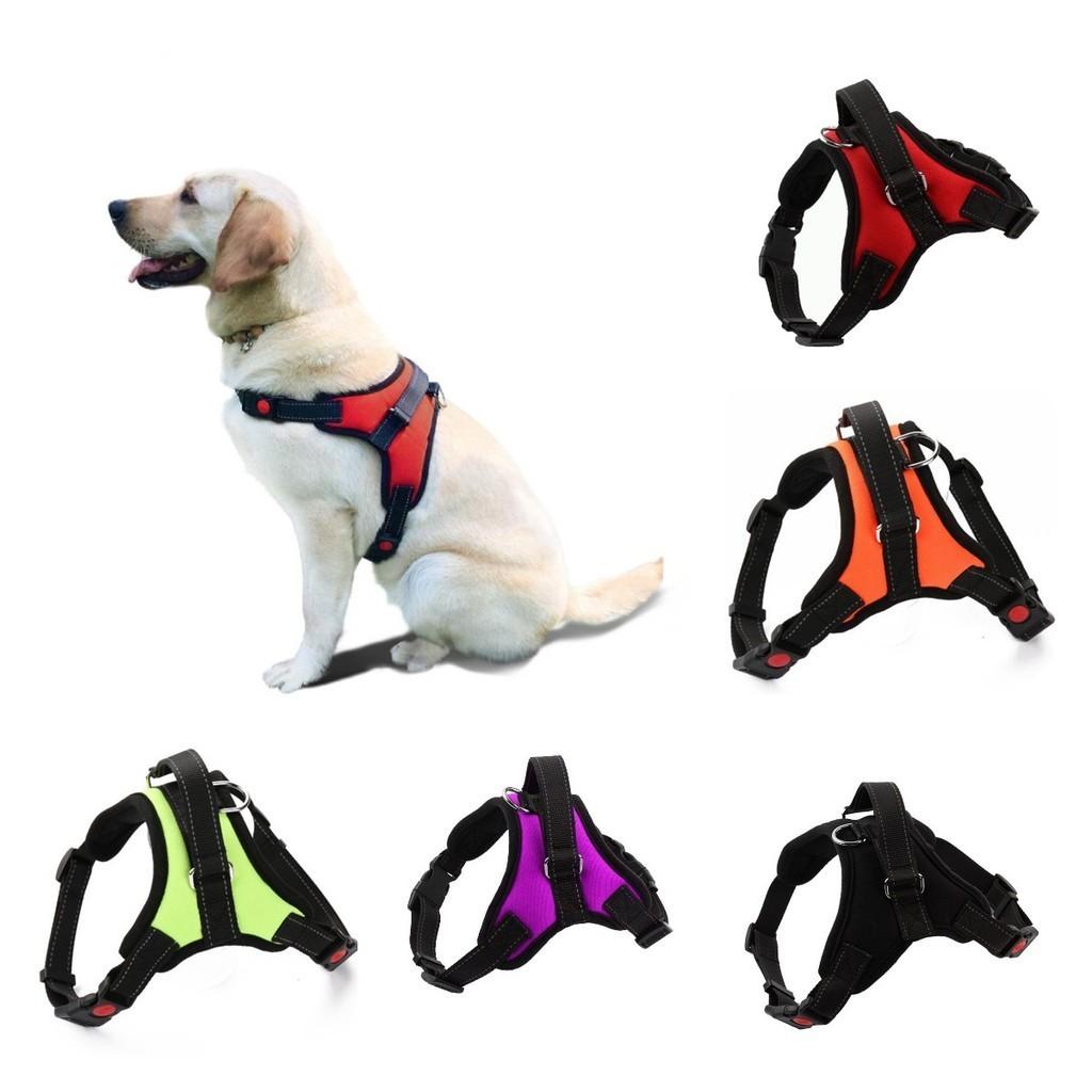Small And Medium-sized Dog Harness Easy To Put On And Take Off With Adjustable Straps
