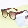 Oversized Cat Eye Sunglasses Women 2025 Luxury Brand Fashion Large Frame Square Sun Glasses For Men Retro Trendy Cateye Eyewear