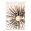Beige Grass Reed Dandelion Boho Wall Art Canvas Painting Nordic Posters And Prints Nature Wall Pictures For Living Room Decor