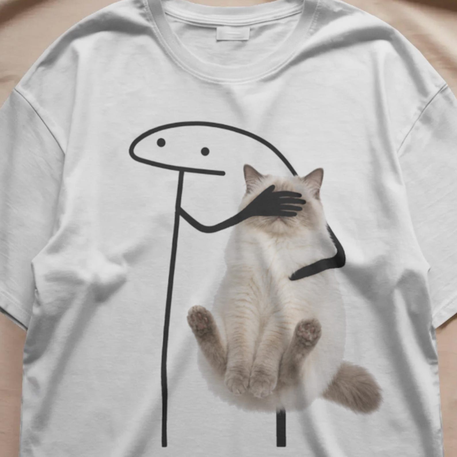 Ragdoll Cat, Funny Cat Meme Don t Let My Cat See This Shirt, Silly Cat Shirt, Funny Meme Shirt, Cat Lover Gift, Meme Tiktok 2XL