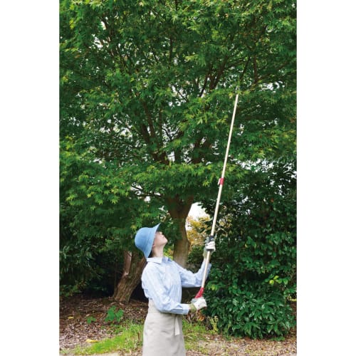 Takagi Lightweight Telescopic High Branch Cutting Shears, Pruning Blade 1.3-2.0m [Tsubame Sanjo Brand] [Cut Branches + Catch, Uses Movable Catcher] Hi