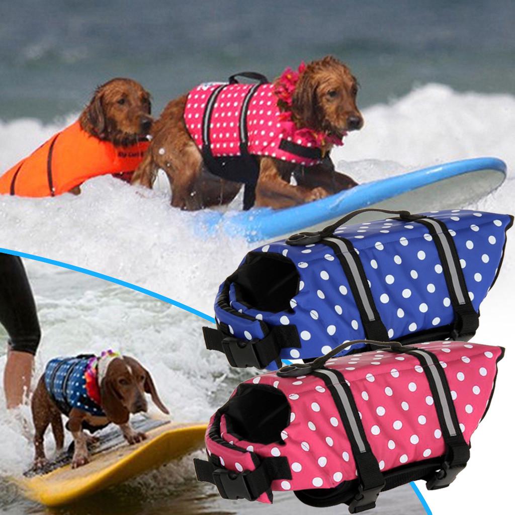 cute dog life jacket