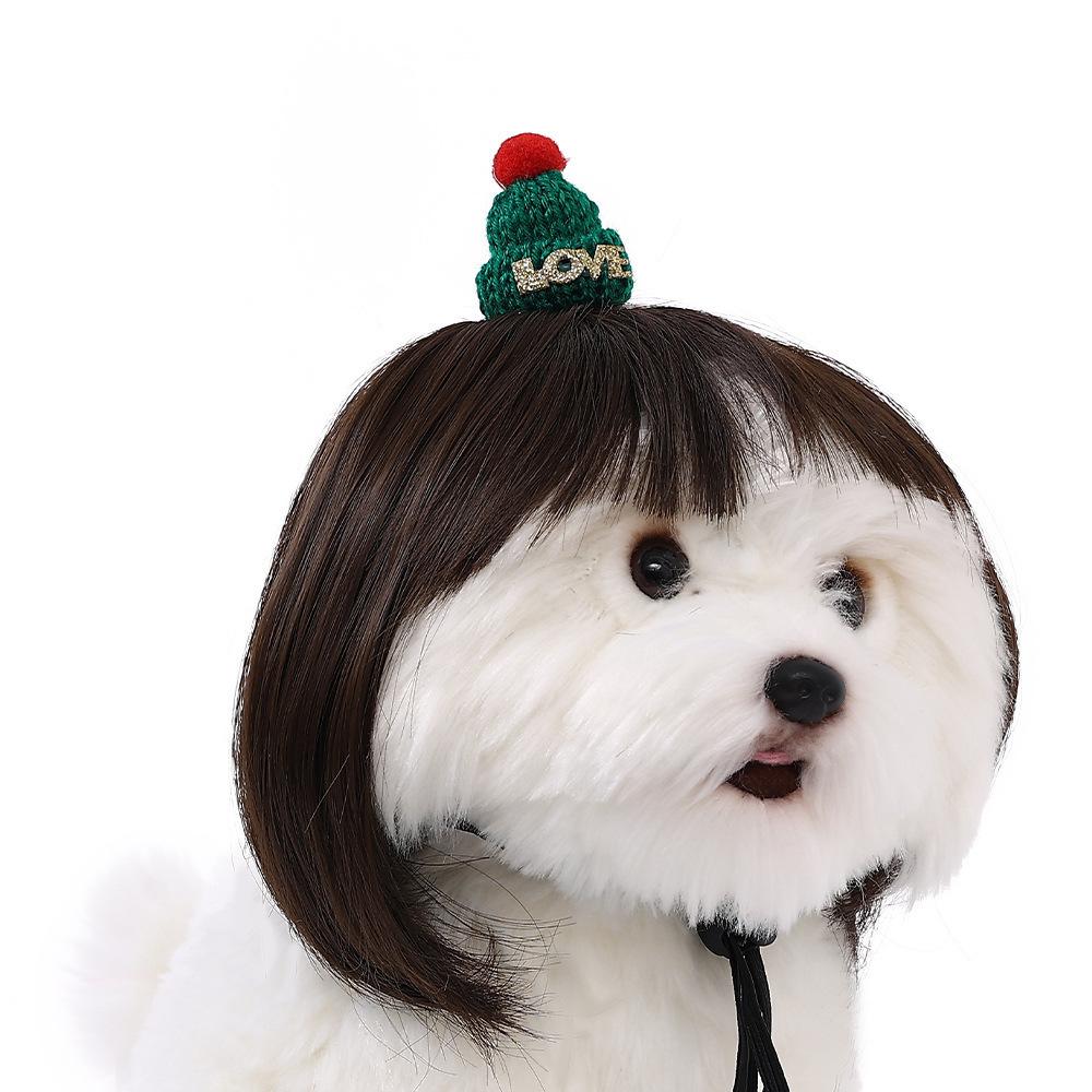 Pet Quality Premium Wig For Dogs And Cats In Trendy Bob Cut For Seasonal Celebrations