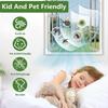 Adjustable Fiberglass Insect Window Screen Adhesive Easy Installation