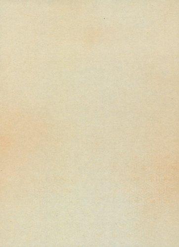 Kobaido Kana Ryoshi Asuka Half-Kaishi Size 100 Sheets (5 Designs, 20 Sheets Each)