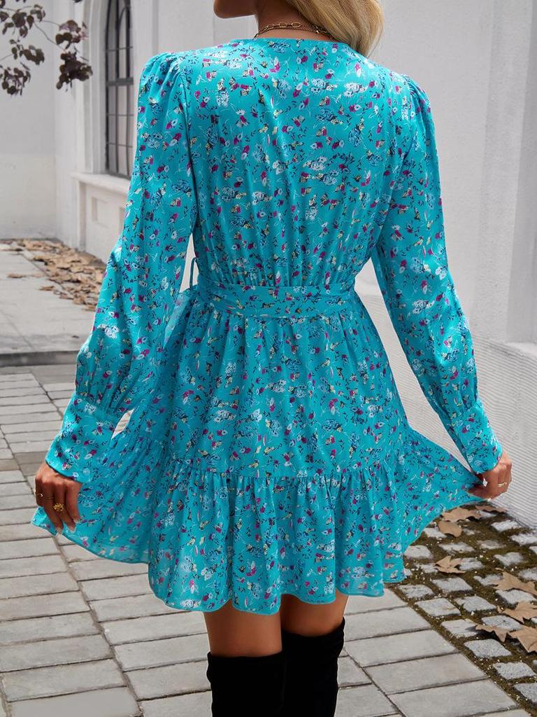 Diyun 2024 Autumn/Winter Elegant V-Neck Printed Women's A-Line Dress