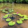 Multiple Nozzles Solar Powered Pump Floating Solar Water Fountain Solar Fountain Pump  Pond