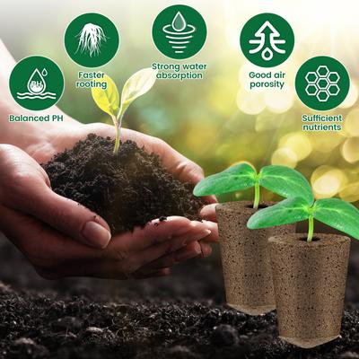 Pacote com 50 esponjas para cultivo de sementes, reposição para iniciadores hidropônicos, esponjas para crescimento de raízes, acessórios para plantio de jardim e jardinagem