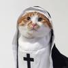 Whimsically Pet Nun Cloak Robe Dress Halloween Costume Parties Supplies For Dog Cats Photoshoots Fun Cosplay Outfits