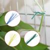 100PCS Oblate Gardening Cable Ties Reusable Iron Wire Twist Tie for Flower Plant Climbing Vines Multifunction Coated Fix Strings
