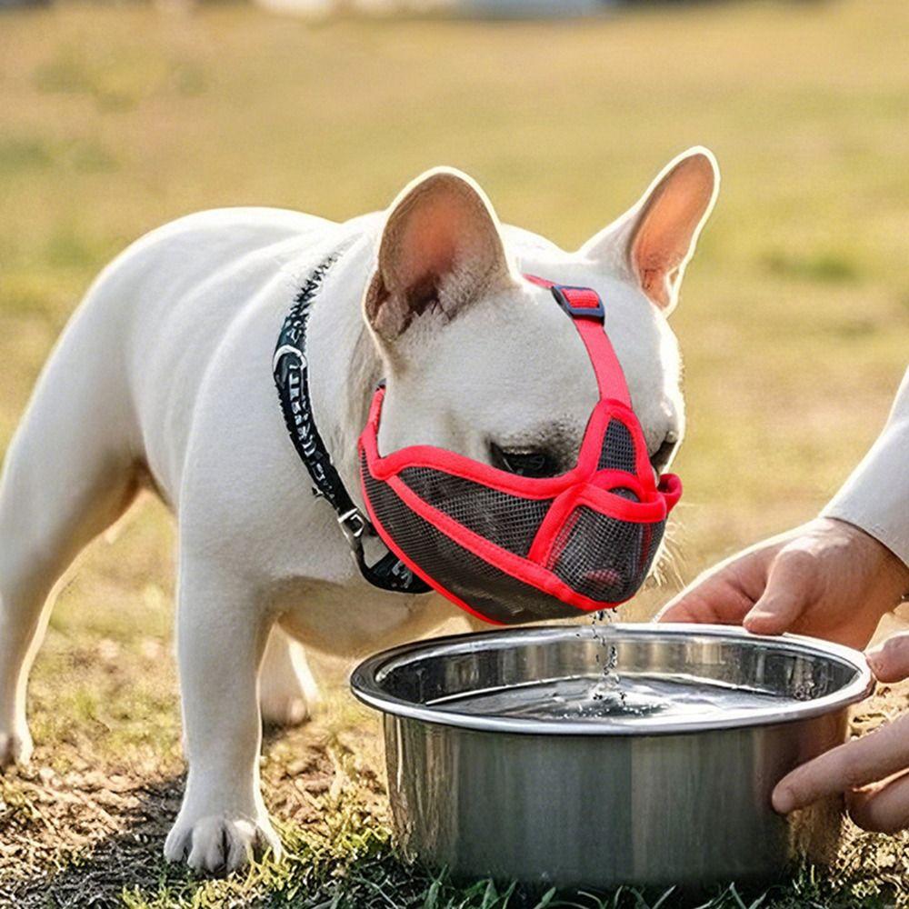 Prevent Accidental Ingestion Dog Anti-biting Anti-barking Mask  Walking The Dog