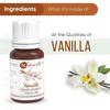 Naturalis Essence of Nature Vanilla Oil Therapeutic Grade for Relief from Stress & Anxiety, Skin Care and Aromatherapy - 10ml