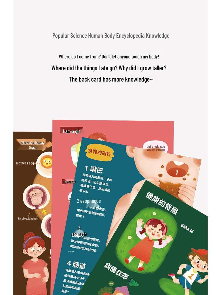 Cartoon Body Puzzle: Fun Educational Toy for Children's Cognitive and Concentration Development